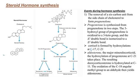 Principles Of Endocrinology Ppt