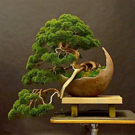 30 Pot Bonsai Lingkaran