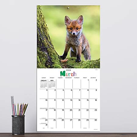 2024 TF Publishing Animal Wall Calendar 12 x 12 Baby Animals January To ...