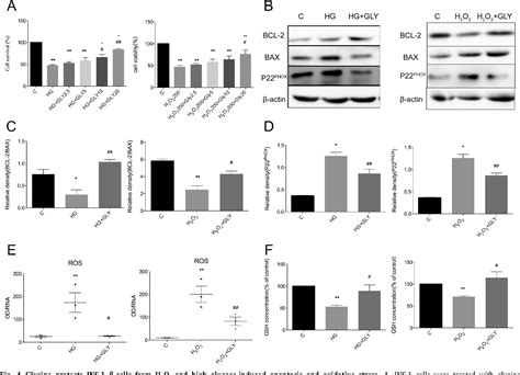 Figure 4 from Glycine Transporter‐1 and glycine receptor mediate the ...