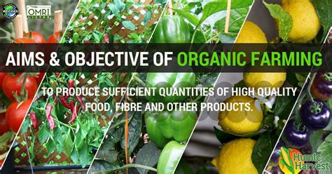 Main Objective Of Organicfarming Is To Produce Best For You Humicharvest