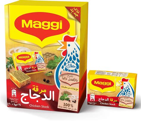 Maggi Chicken Stock Bouillon Cubes 24 Cubes Buy Online At Best Price