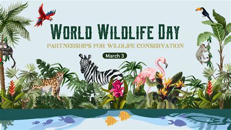 World Wildlife Day Partnerships Needed For Conservation Cgtn