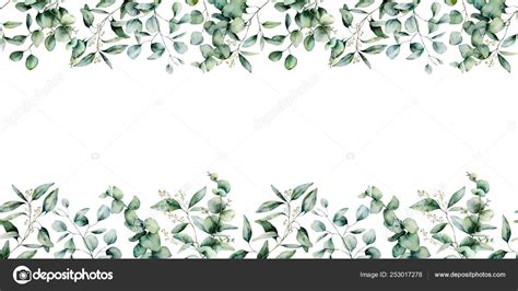 Watercolor Eucalyptus Seamless Border Hand Painted Eucalyptus Branch