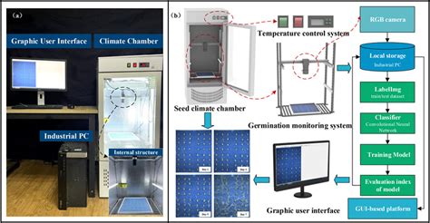 Frontiers Wsvas A Yolov Based Phenotyping Platform For