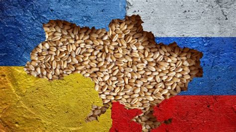 Streit Ber Ukrainisches Getreide Sorgt F R Aufruhr In Polen Euractiv De