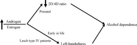 Handedness And The 2D 4D Ratio As Peripheral Biomarkers Of Early Sex
