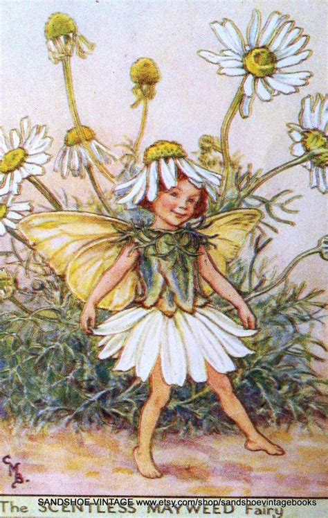 Cicely Mary Barker The Scentless Mayweed Fairy Cicely Mary Barker