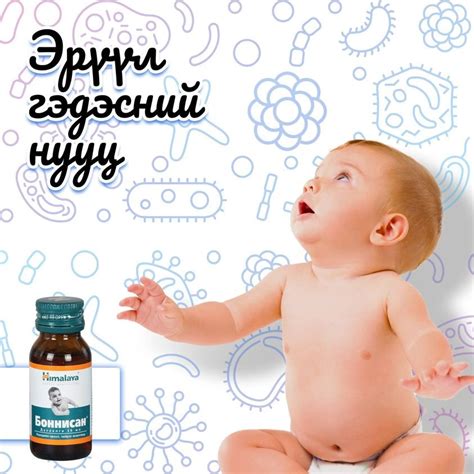 Ашигтай бактер багасах нь харшил үүсэхэд нөлөөлдөг үү? | “ЦАХИУР ТӨМӨР” ХХК