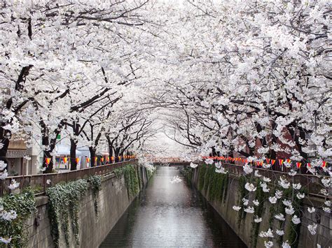 25 Most Beautiful Places In Japan Beautiful Places In