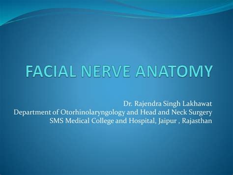 Facial Nerve Anatomy Ppt