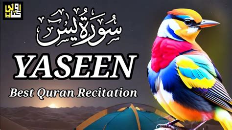 Surah Yasin Yaseen Most Powerful Quran Recitation Best Voice Quran