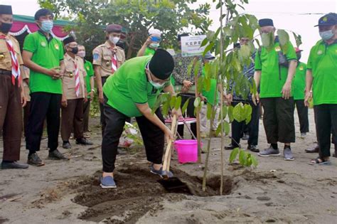 Peringati Hari Menanam Pohon Indonesia Ldii Siapkan Gerakan Menanam