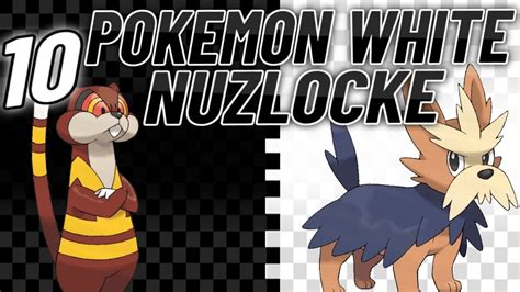 Nacrene City Gym Fight Pokemon White Nuzlocke Episode Youtube