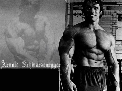 50 Arnold Schwarzenegger Conquer Wallpapers WallpaperSafari