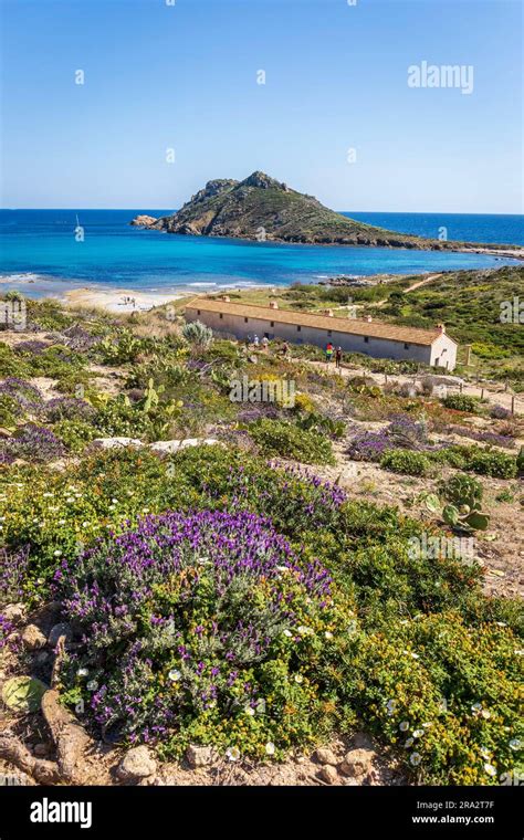 France Var presqu île de Saint Tropez Ramatuelle Maison de Douanes