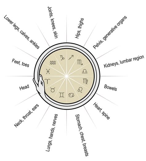 Zodiac Astrological Sign Horoscope Astrology Circle Png Clipart Angle A26