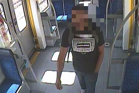 Vor Jähriger in S Bahn befriedigt Mutmaßlichen Sex Täter ermittelt