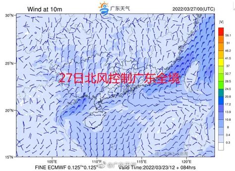 回南天→雷雨大风预警→冰雹预警！东莞的天气太魔幻了！澎湃号·政务澎湃新闻 The Paper