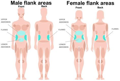 Health Symptoms : Causes, Treatment, Conditions and More