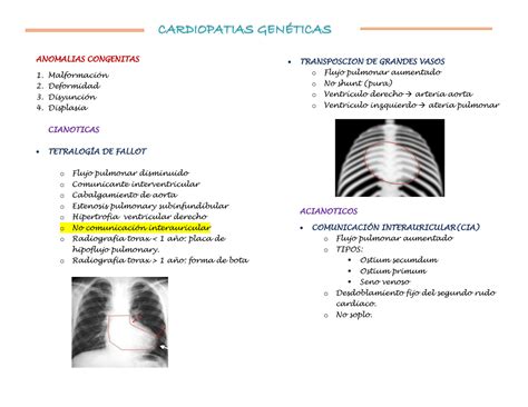 Solution Cardiopatias Congenitas Studypool