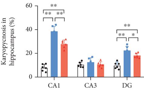 Effects Of Ptx Administration On Oxidative Damage In The Hippocampus Of Download Scientific