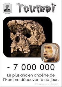 Early Hominins Our Ancestors Ideas Hominid Human Evolution