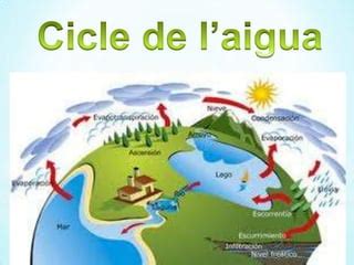 Ciclo De L Aigua De Erika Valdes Ppt