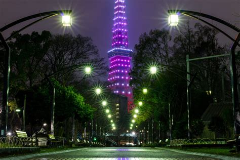 インスタ映えで人気の東京タワー撮影スポット！＠芝公園の夜景と並木道 αのevfが見せる世界