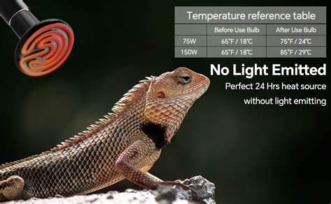 Lot De E W C Ramique Lampe Chauffante Reptiles V Ampoule