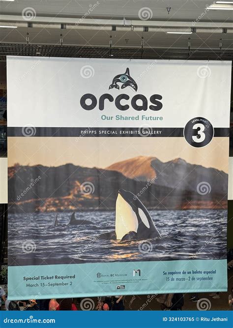 Orcas - Our Shared Future Exhibit at Denver Museum of Nature and