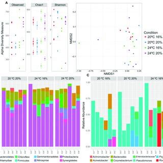 Alpha and beta-diversity metrics (A) and taxonomical structure of the ...