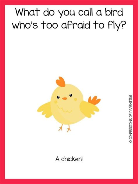 155 Chicken Jokes That Will Make You Cluck