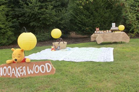 Hundred Acre Wood Party With Winnie The Pooh Dollar Store Crafts