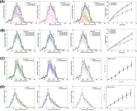 Sholl Analysis And Dose Dependent Snip Distribution Of Gcl Neuron A B