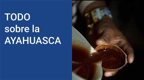 Qu Es La Ayahuasca Y C Mo Se Consume Brujos De Catemaco Org