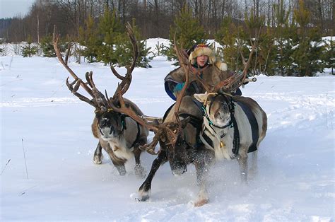 Kola Peninsula Russia | Knowledgable Guide — RussiaDiscovery.com