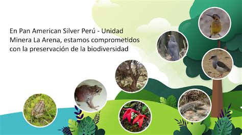 Gestión De La Preservación De La Biodiversidad En Las Unidades Mineras De Pas Perú Premios