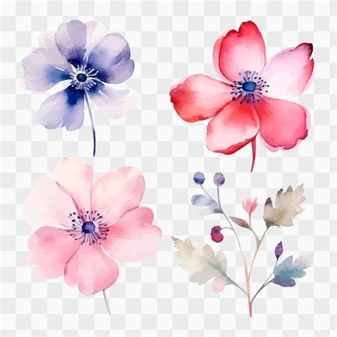 Un Ensemble De Fleurs Aquarelles Sur Fond Transparent Vecteur Premium