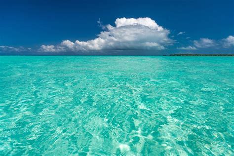 Perfect Tropical Island Paradise Beach Stock Photo Image Of Plants