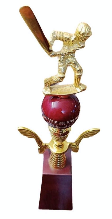 Maroon And Golden 300gm Brass MDF Cricket Trophy For Sports