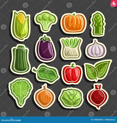 Veg Vector Set Stock Illustrations 953 Veg Vector Set Stock