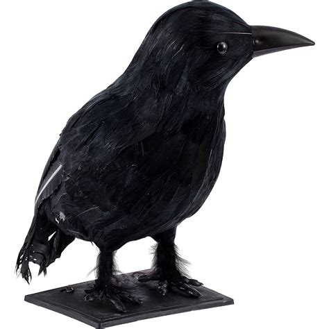 Black Crow Plastic Prop Measures 12 Inches By 8 Inches By 8 Inches