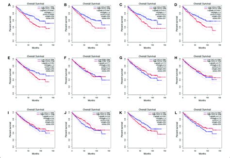 The Prognostic Value Of Cxc Chemokines In Rcc Patients In The Overall