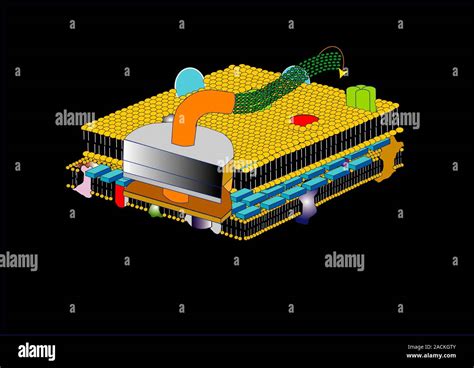 Bacterial flagellum structure. Computer artwork of a section through a ...