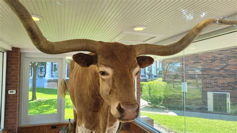 A Legendary Longhorn Historical Marker