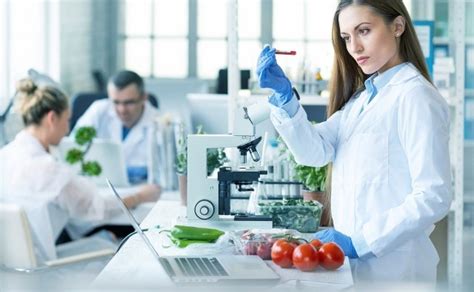 Biotecnologia En Alimentos