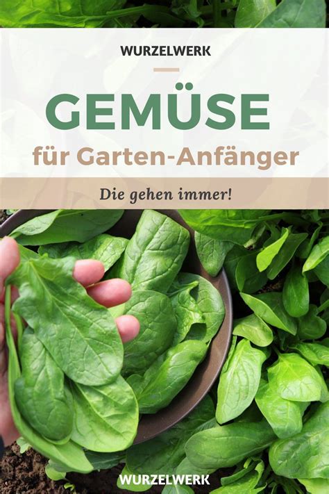 Himbeeren Schneiden Der Ultimative Guide Artofit