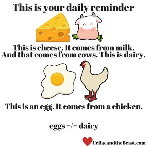 Are Eggs Dairy? - Celiac and the Beast