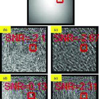 Detection results of different algorithms. (a) original image; (b ...